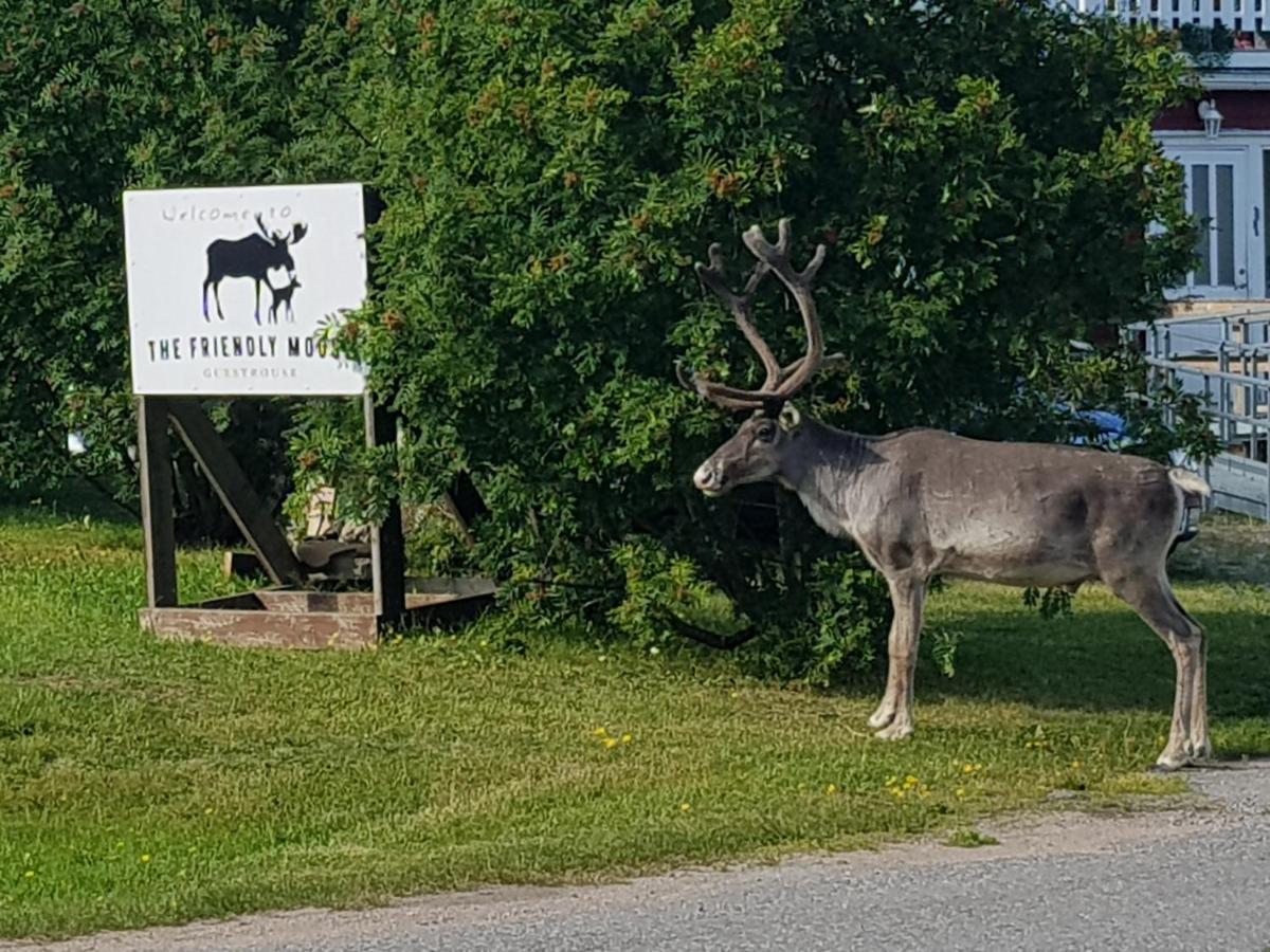The Friendly Moose Overtornea Exterior foto
