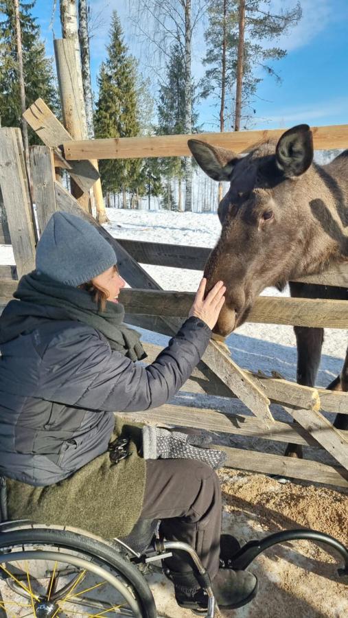 The Friendly Moose Overtornea Exterior foto